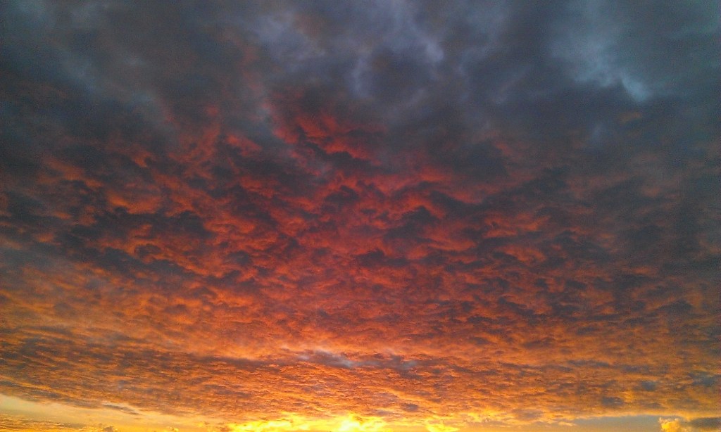 Leben im Anthropozän